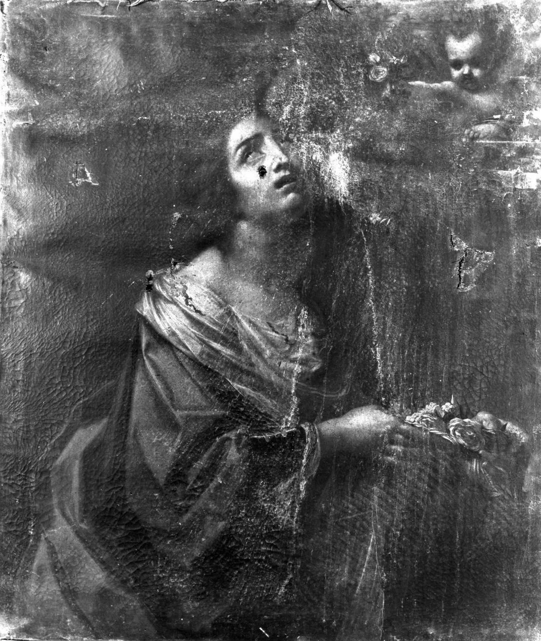 Santa Dorotea - Museo del Cenacolo di Andrea del Sarto, Firenze